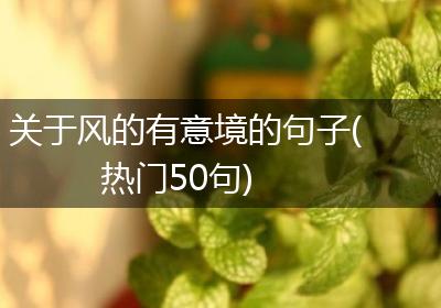 关于风的有意境的句子(热门50句)