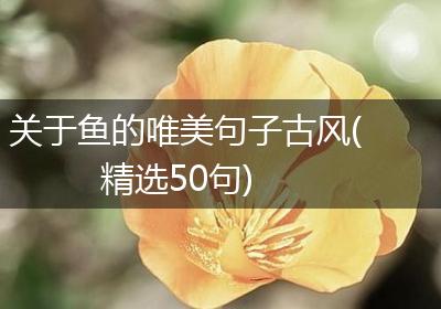 关于鱼的唯美句子古风(精选50句)
