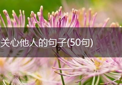 关心他人的句子(50句)
