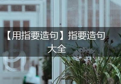 【用指要造句】指要造句大全