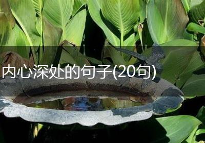 内心深处的句子(20句)