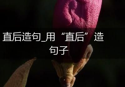 直后造句_用“直后”造句子