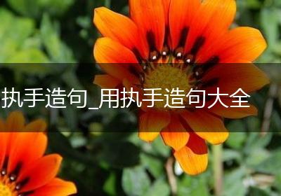 执手造句_用执手造句大全