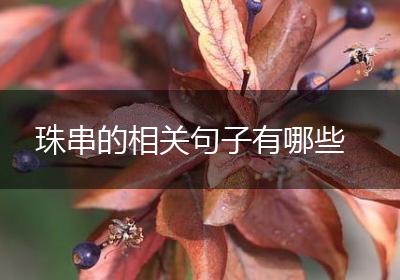 珠串的相关句子有哪些