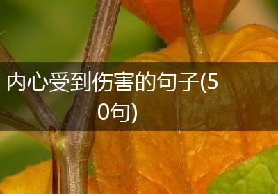 内心受到伤害的句子(50句)