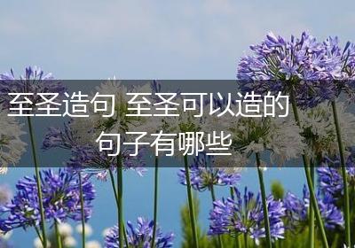 至圣造句 至圣可以造的句子有哪些