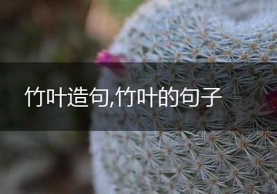 竹叶造句,竹叶的句子