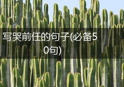 写哭前任的句子(必备50句)