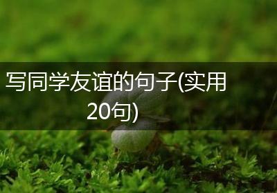 写同学友谊的句子(实用20句)