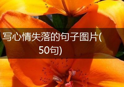 写心情失落的句子图片(50句)