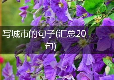 写城市的句子(汇总20句)