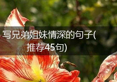 写兄弟姐妹情深的句子(推荐45句)