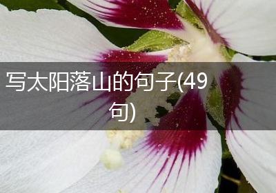 写太阳落山的句子(49句)