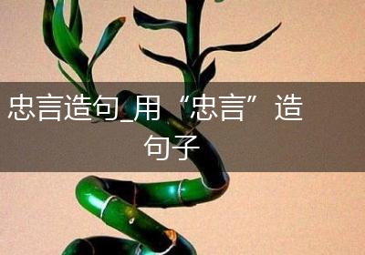 忠言造句_用“忠言”造句子