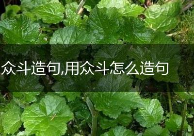 众斗造句,用众斗怎么造句