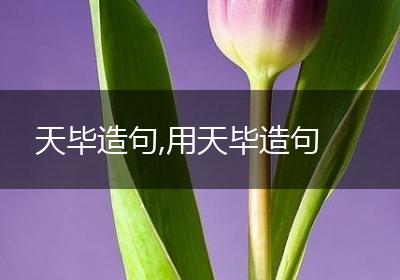 天毕造句,用天毕造句