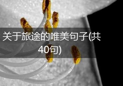 关于旅途的唯美句子(共40句)
