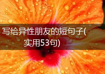 写给异性朋友的短句子(实用53句)