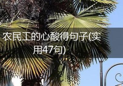 农民工的心酸得句子(实用47句)
