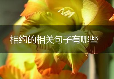 相约的相关句子有哪些
