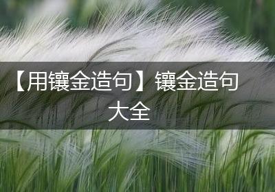 【用镶金造句】镶金造句大全