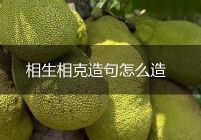相生相克造句怎么造