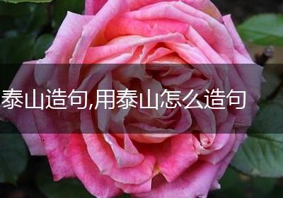 泰山造句,用泰山怎么造句