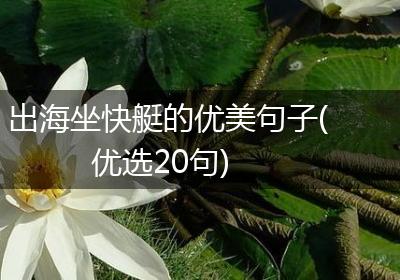 出海坐快艇的优美句子(优选20句)