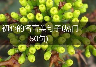 初心的名言美句子(热门50句)