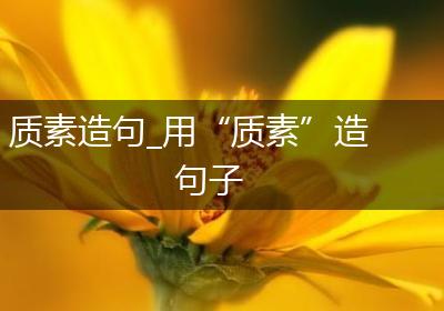 质素造句_用“质素”造句子