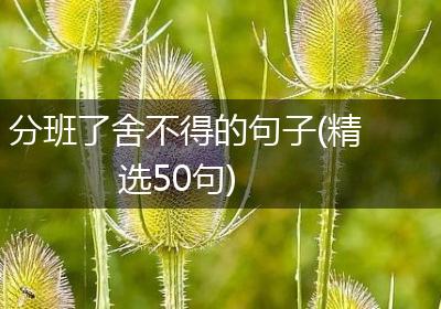 分班了舍不得的句子(精选50句)