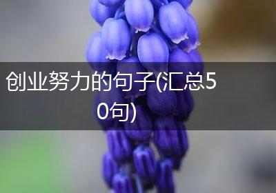 创业努力的句子(汇总50句)