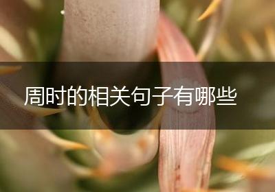 周时的相关句子有哪些