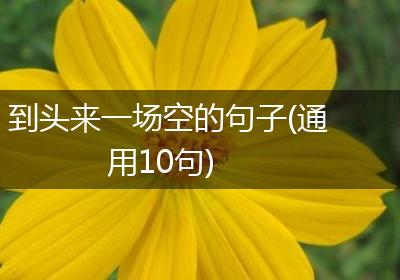到头来一场空的句子(通用10句)