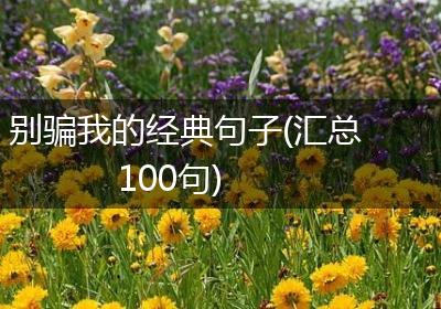 别骗我的经典句子(汇总100句)