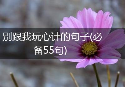别跟我玩心计的句子(必备55句)