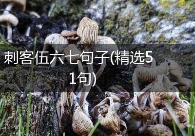 刺客伍六七句子(精选51句)