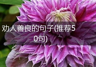 劝人善良的句子(推荐50句)