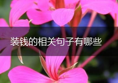 装钱的相关句子有哪些