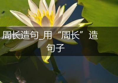 周长造句_用“周长”造句子