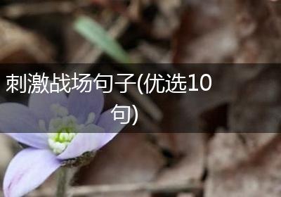 刺激战场句子(优选10句)