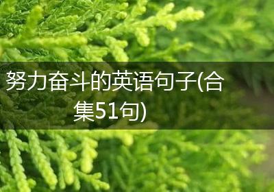 努力奋斗的英语句子(合集51句)