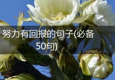努力有回报的句子(必备50句)