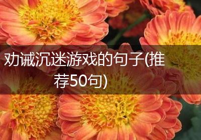 劝诫沉迷游戏的句子(推荐50句)