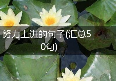 努力上进的句子(汇总50句)
