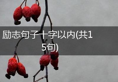励志句子十字以内(共15句)