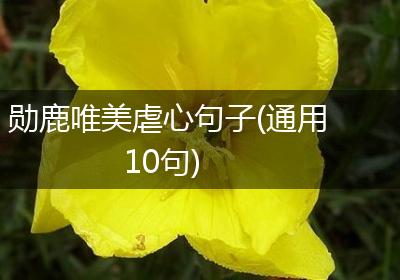 勋鹿唯美虐心句子(通用10句)