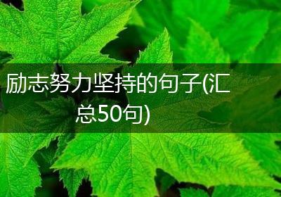 励志努力坚持的句子(汇总50句)