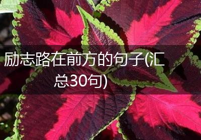 励志路在前方的句子(汇总30句)