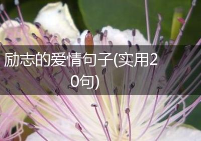 励志的爱情句子(实用20句)